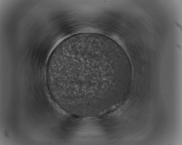 X0000091551008200709071212