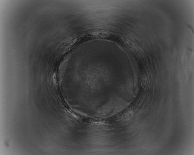 X0000091551010200709071211
