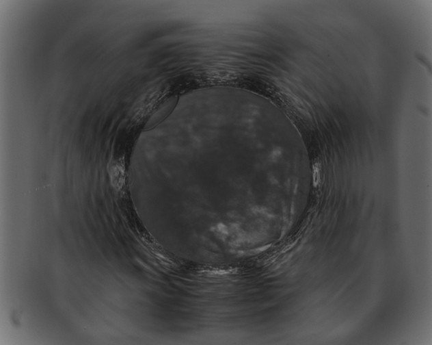 X0000091551011200709071211