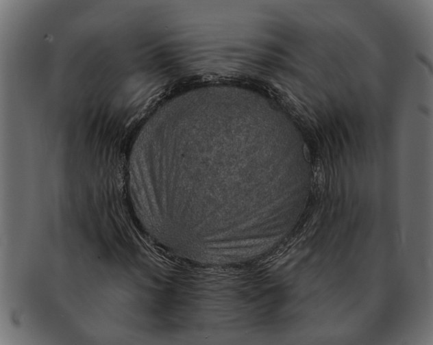 X0000091551012200709071211