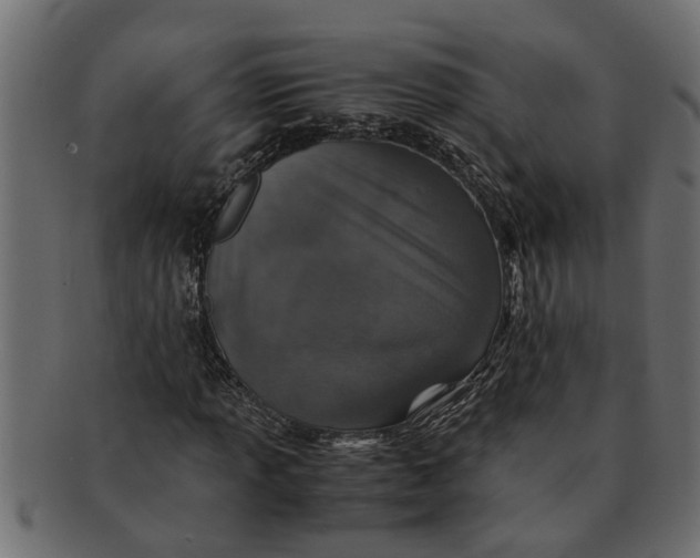 X0000091551013200709071211