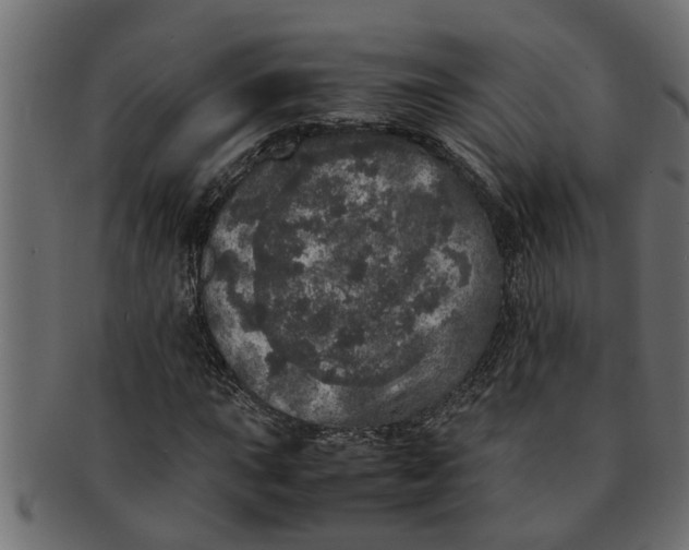 X0000091551015200709071211