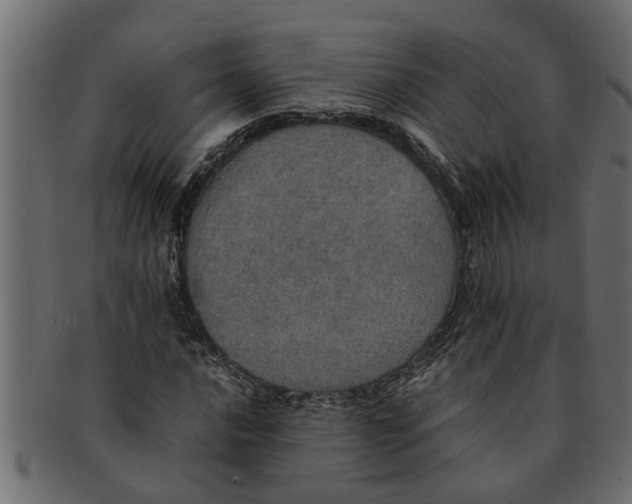 X0000091551016200709071211