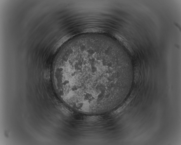 X0000091551017200709071211