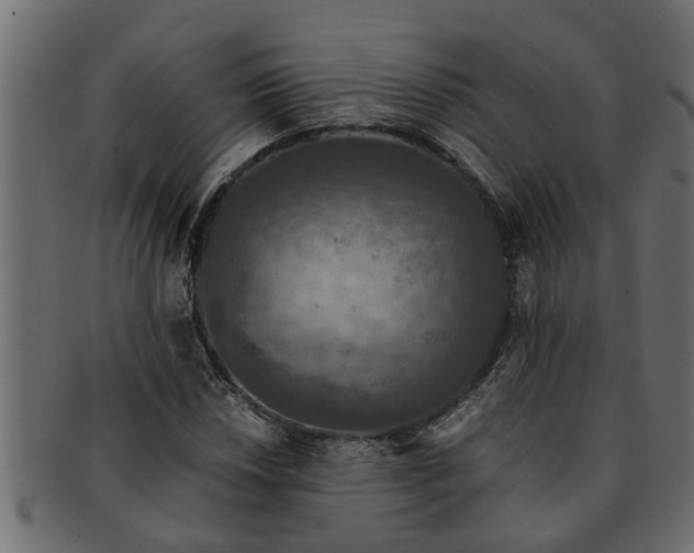 X0000091551018200709071211
