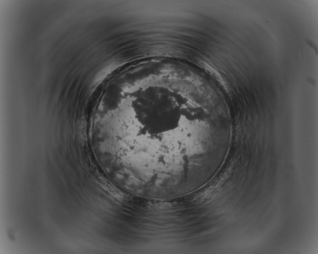 X0000091551019200709071211