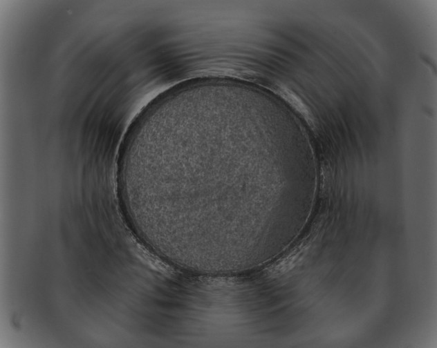 X0000091551020200709071211