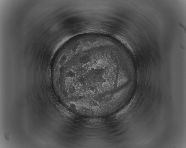 X0000091551021200709071211