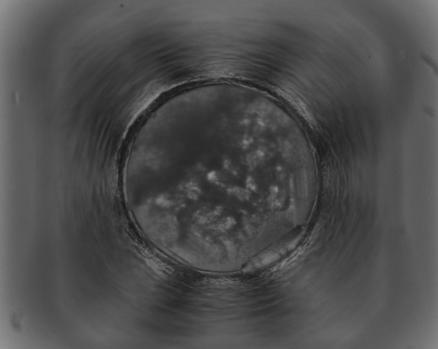 X0000091551023200709071211