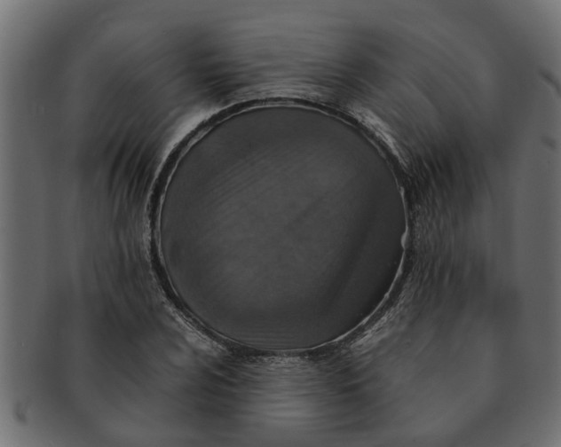 X0000091551024200709071211