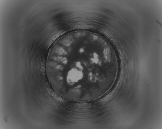 X0000091551025200709071211