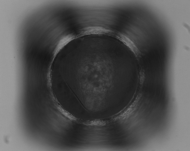 X0000091551026200709071211