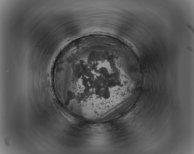 X0000091551027200709071211