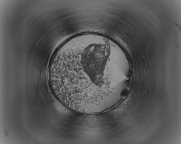 X0000091551028200709071211