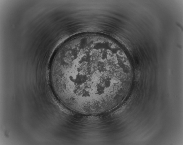 X0000091551029200709071211