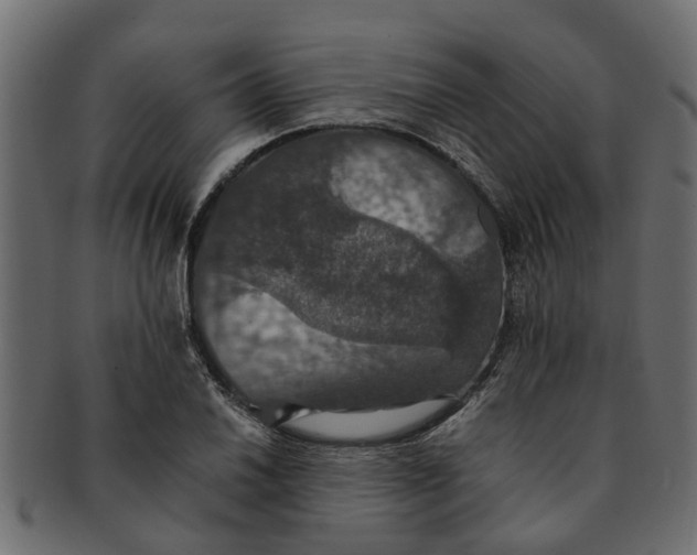 X0000091551030200709071211