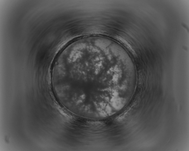 X0000091551031200709071211