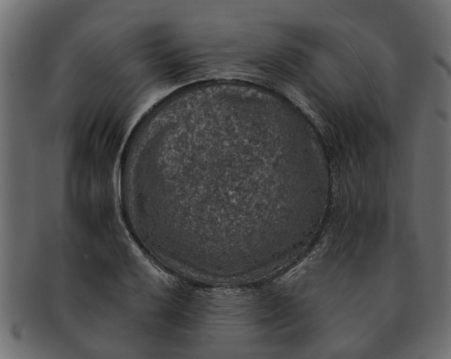 X0000091551032200709071211