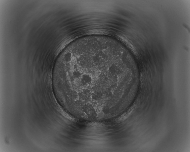 X0000091551033200709071211