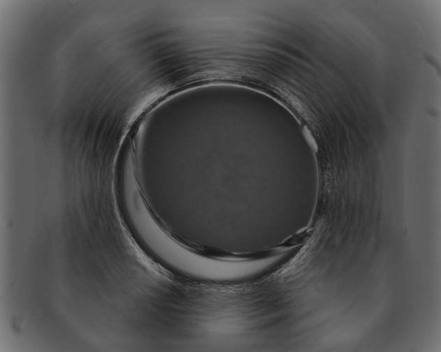 X0000091551034200709071211