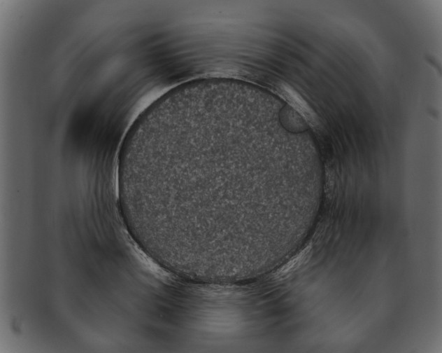 X0000091551036200709071211