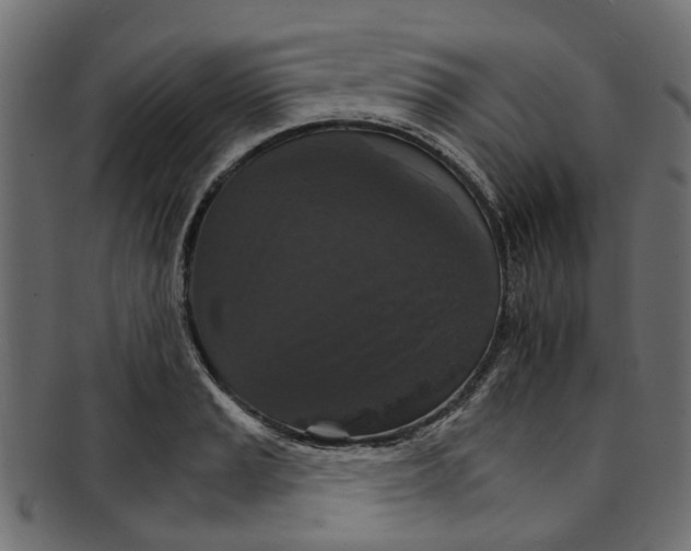 X0000091551037200709071212