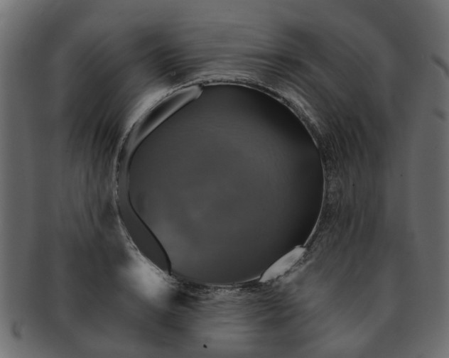 X0000091551038200709071212