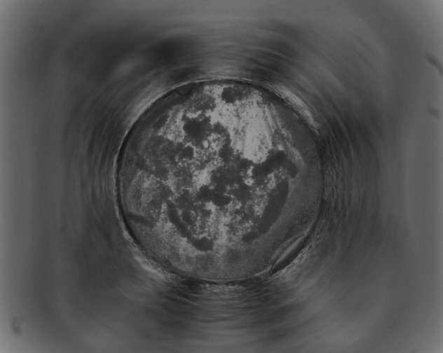 X0000091551039200709071212