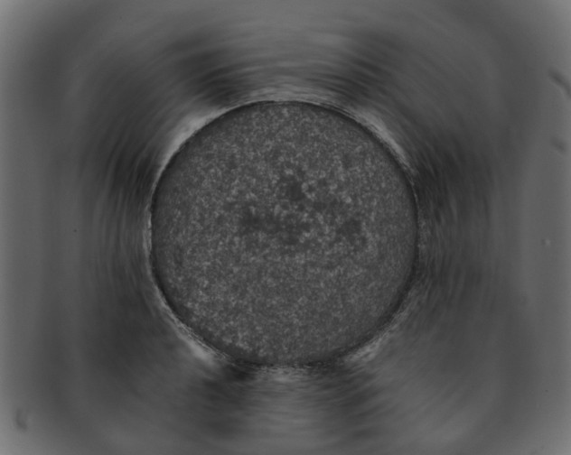X0000091551040200709071212
