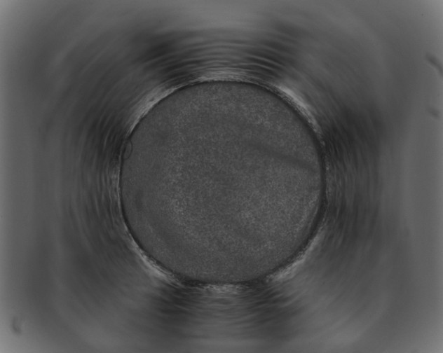 X0000091551041200709071212