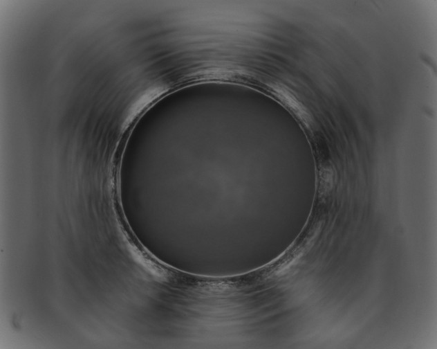 X0000091551042200709071212