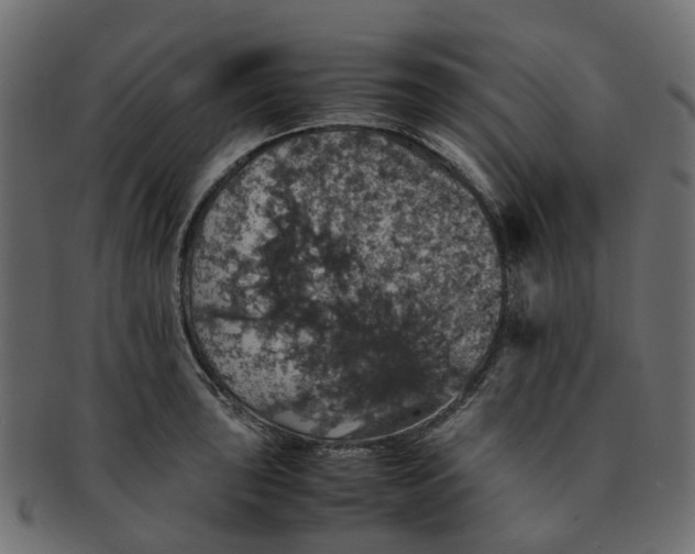 X0000091551043200709071212