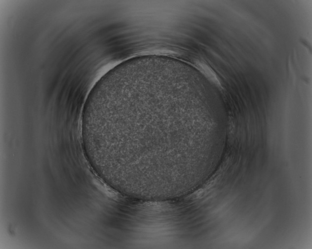 X0000091551044200709071212