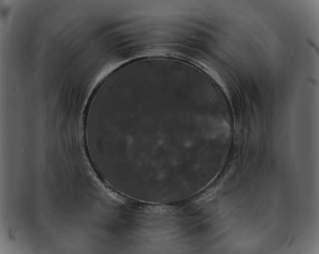 X0000091551045200709071212