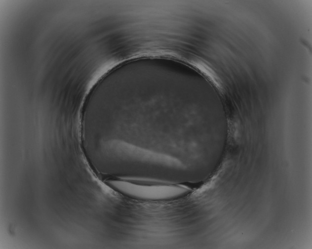 X0000091551046200709071212