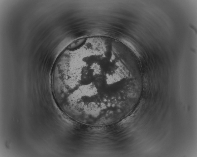 X0000091551047200709071212