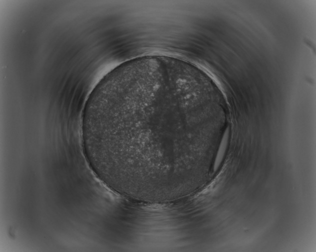 X0000091551048200709071212