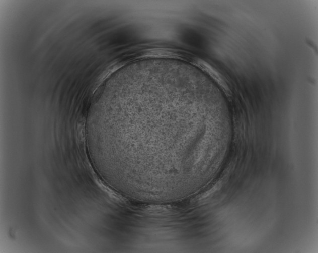 X0000091551049200709071212