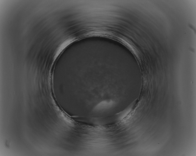 X0000091551050200709071212