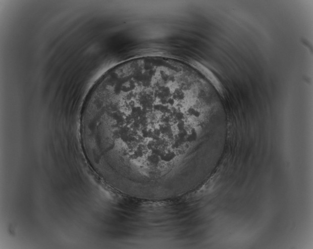 X0000091551051200709071212