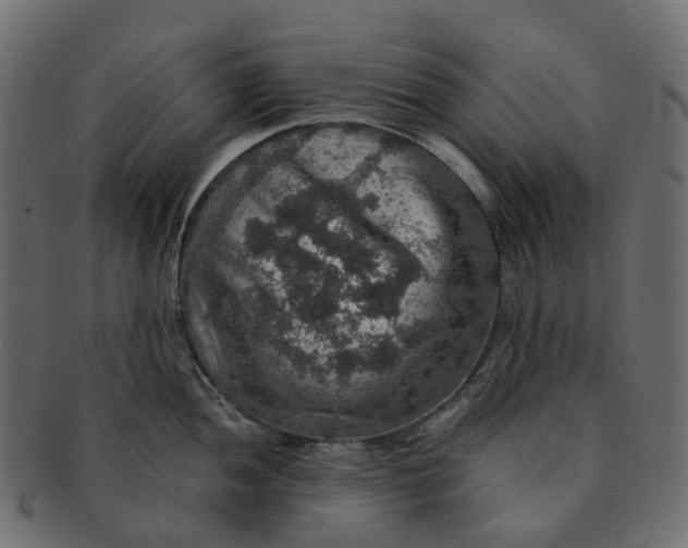 X0000091551052200709071212