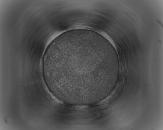 X0000091551053200709071212