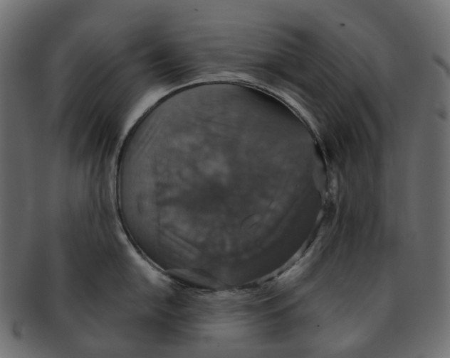 X0000091551054200709071212
