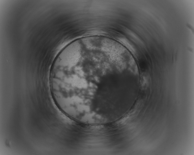 X0000091551055200709071212