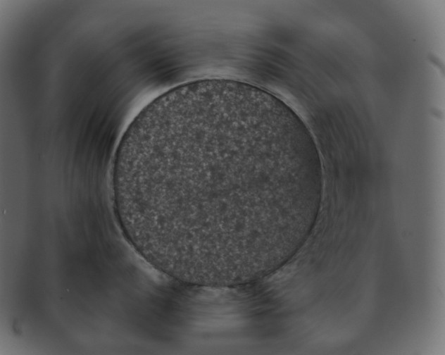 X0000091551056200709071212