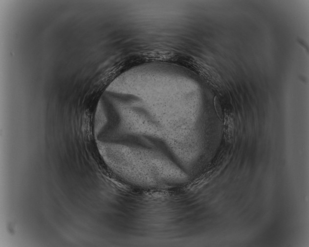X0000091551058200709071211