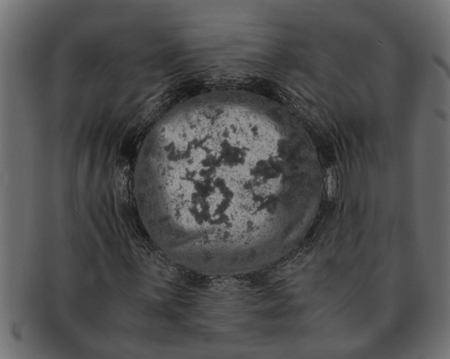X0000091551059200709071211