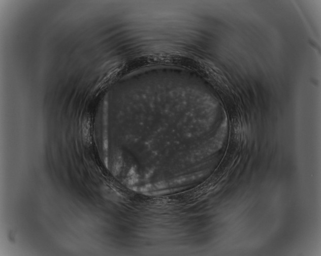 X0000091551060200709071211