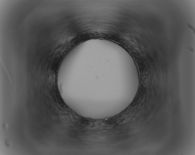 X0000091551061200709071211