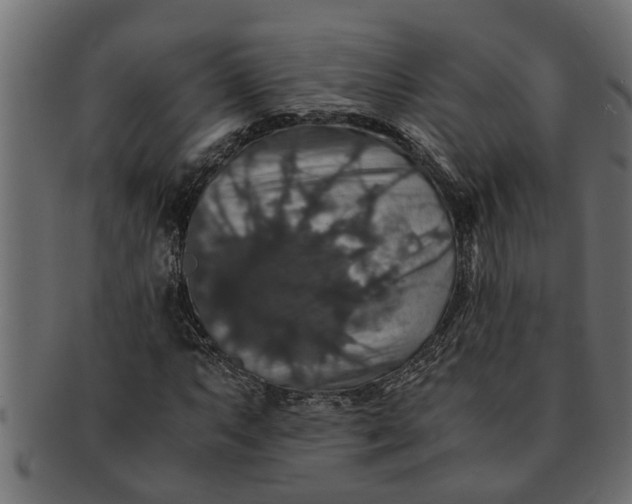 X0000091551063200709071211
